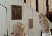 Un plebiscito indecoroso