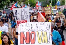 Científicos de Recursos Naturales dicen no a Esencia