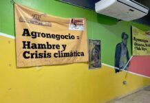 Del abandono a la conquista urbana: el ejemplo de Caguas