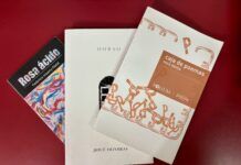 Vicios y virtudes de las listas de libros. Segunda parte.