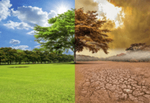 Recursos Naturales incumple con ley de Cambio Climático