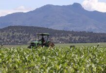 De la inseguridad a la autosuficiencia agrícola