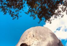 Lingüista boricua enseña en universidad por la integración regional latinoamericana en Brasil