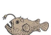 Será otra cosa-Historia para dormir