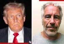 El escándalo de la androcracia capitalista de élite